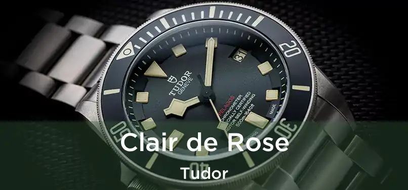  Clair de Rose Tudor